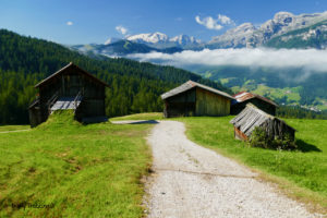 Ai prati dell'Armentara e Ranch da Andrè: Alta Badia per bambini