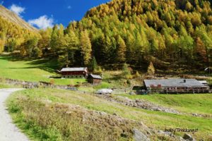 Malga Astnerbergalm, il paradiso per bambini sopra Terento