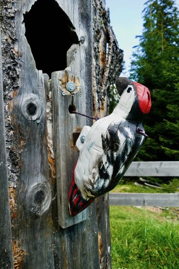 Bärenbachl, parco acquatico e percorso didattico in Tirolo