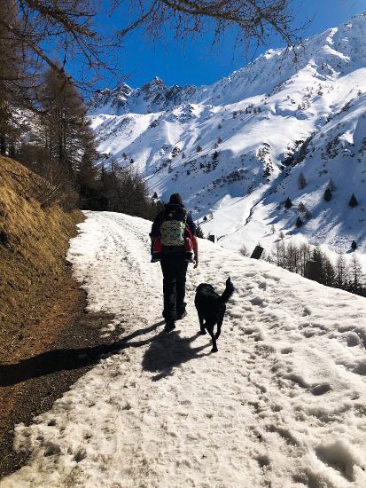 Al villaggio di Case di Viso, con bimbi e cani a Ponte di Legno