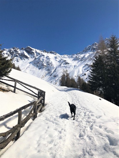 Al villaggio di Case di Viso, con bimbi e cani a Ponte di Legno