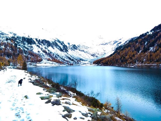 Giro del lago di Neves con bambini e cani: paesaggi incantati in Valle Aurina