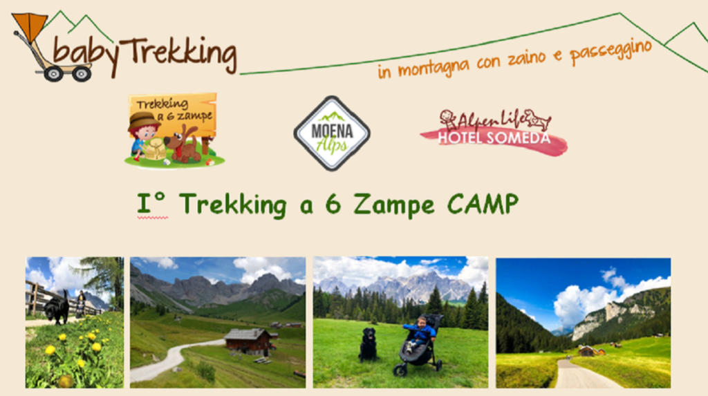 Trekking a 6 zampe Camp