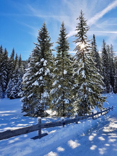 Armentarola in inverno