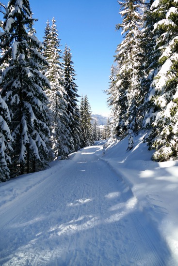 Rifugio la Crusc