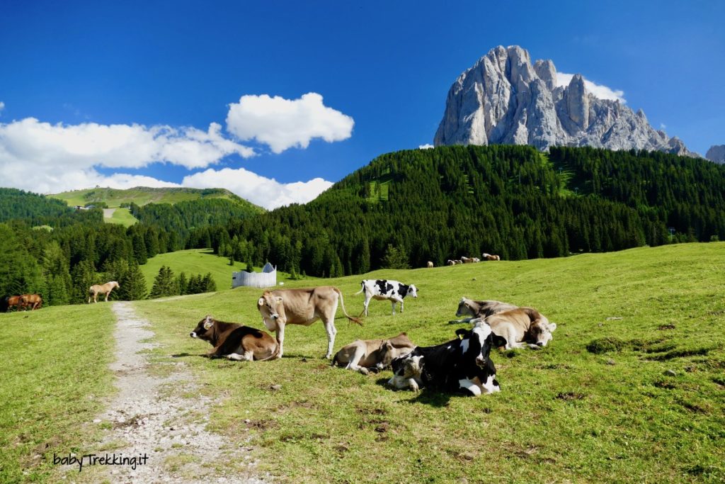 Val Gardena