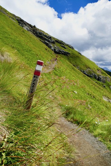 Rifugio Padon