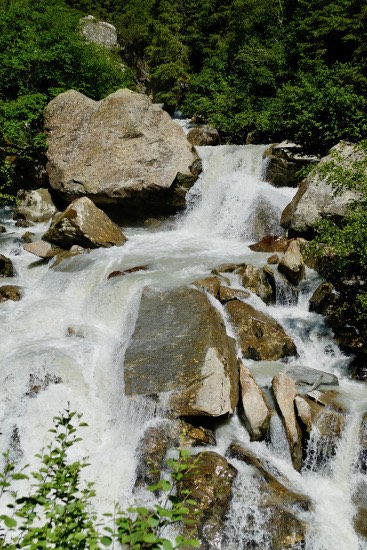 Torrente Ferner