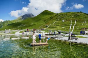 Ahorn Zillertal