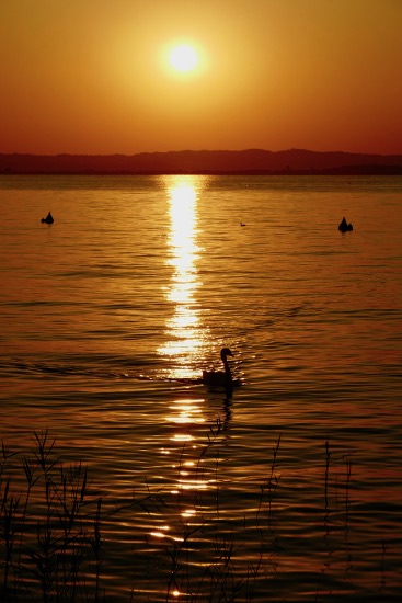 Lago di Garda