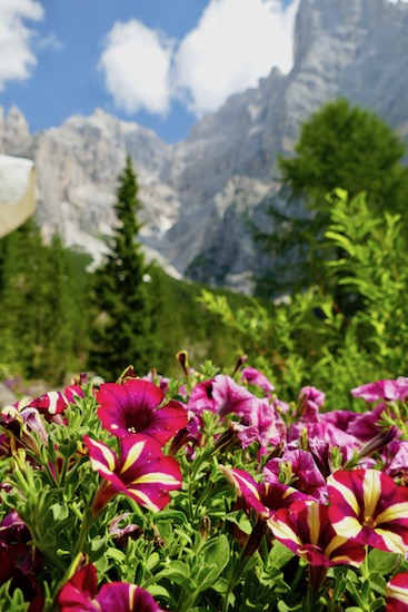 Rifugio Vazzoler