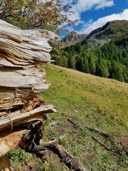 Rifugio Sette Selle