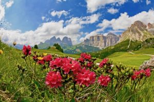 Val di Fassa