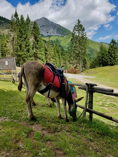 Malga Tovre