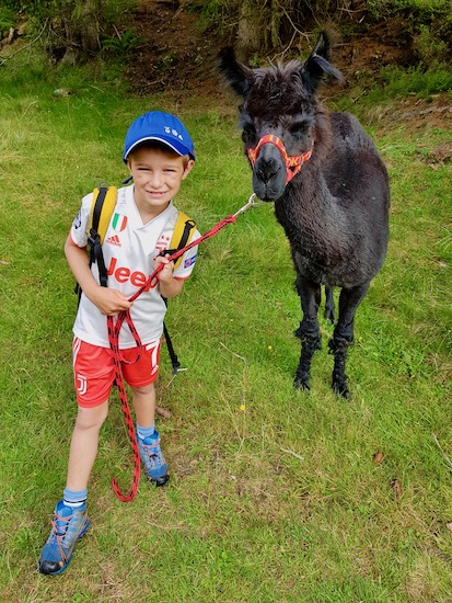 Trekking con i lama Mallnitz