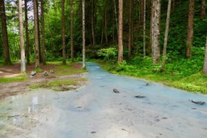 Sentiero Bosco e Acqua