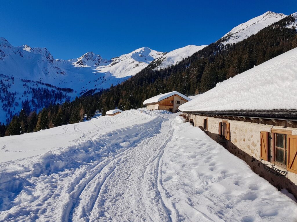 Malga di Revò