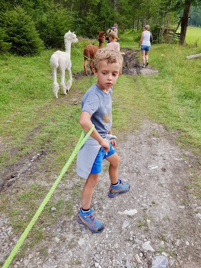 Escursioni con alpaca in Wipptal