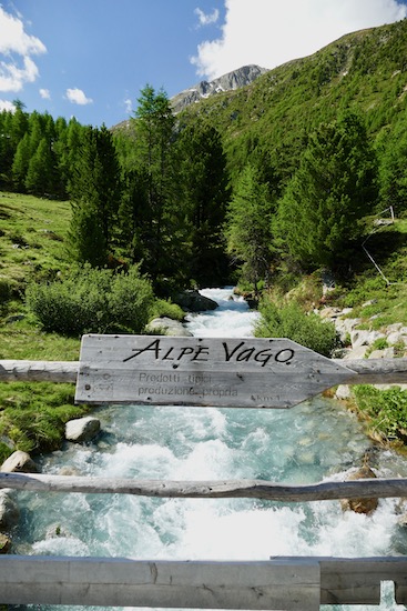 Alpe Vago