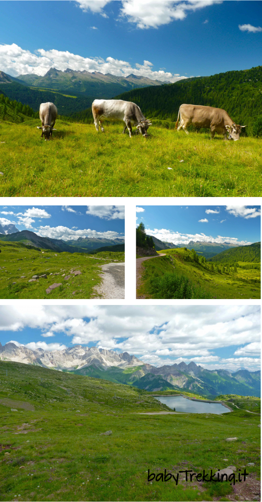 Rifugio Laresei: splendidi panorami col passeggino