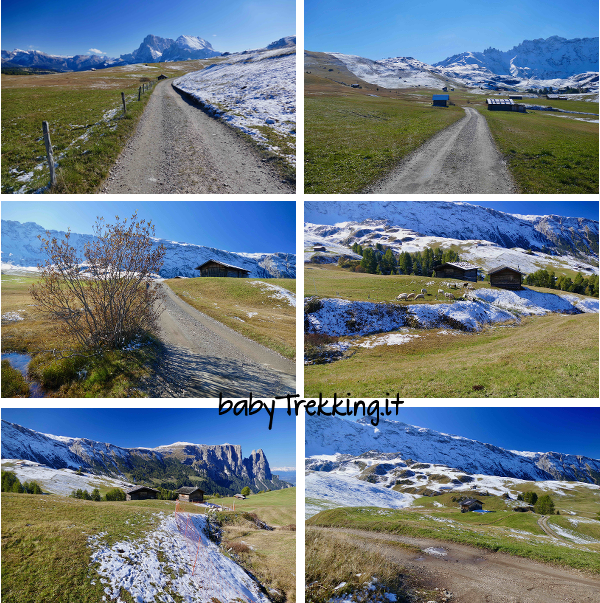 Malga Sattler Schwaige, col passeggino sull'Alpe di Siusi