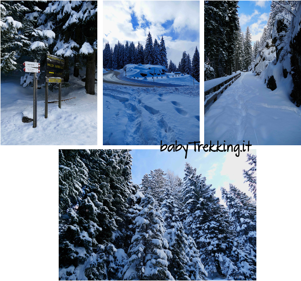 A Malga Juribello tra soffice neve: con le ciaspole nel Parco Naturale di Paneveggio