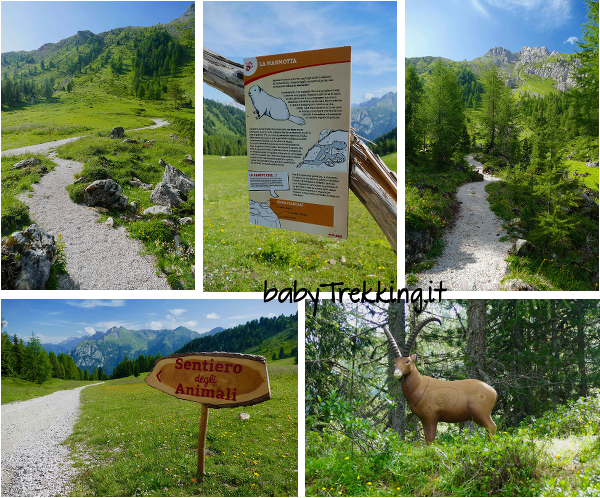 Il Sentiero degli Animali sull'Alpe Lusia: alla scoperta degli abitanti del bosco