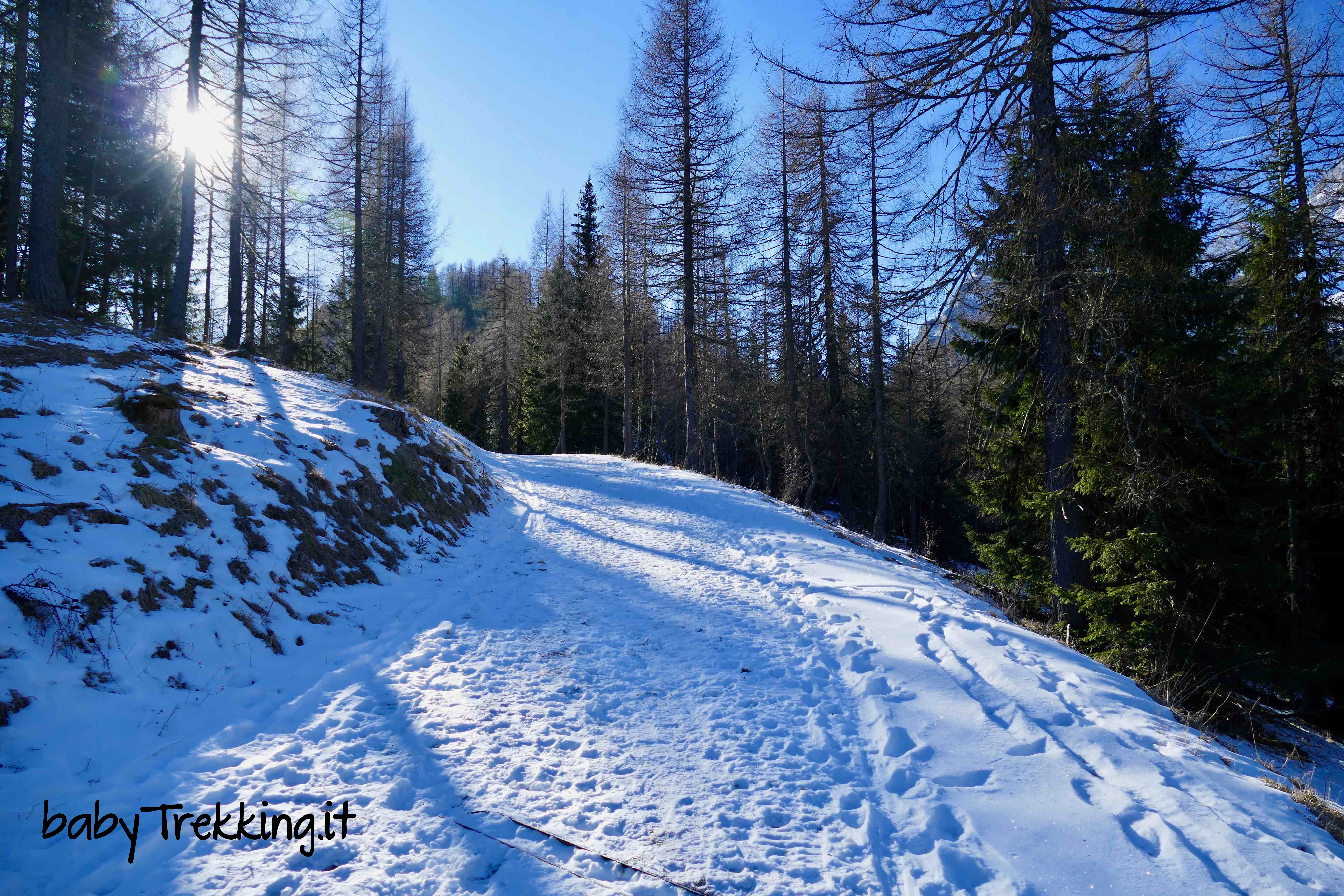 https://www.babytrekking.it/sun-paradis-magia-invernale-bambini-val-di-zoldo/