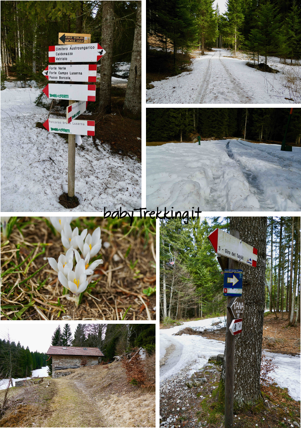 Chalet Tana Incantata: escursione per grandi e piccini tra la neve dell'Alpe Cimbra