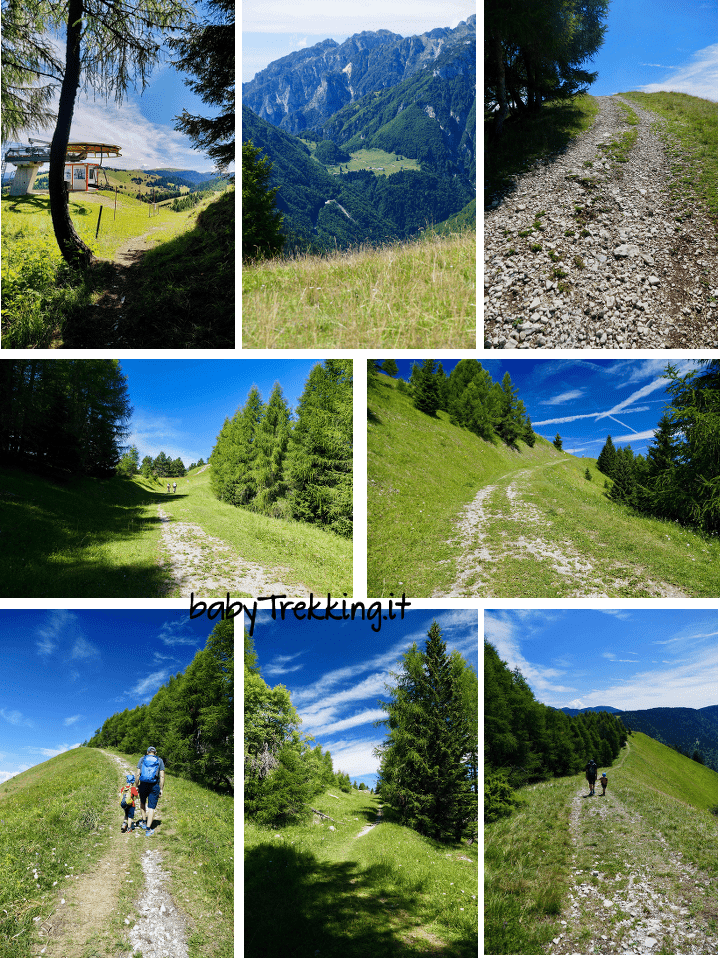 Da Passo Coe al Rifugio Baita Tonda: coi bambini sull'Alpe Cimbra