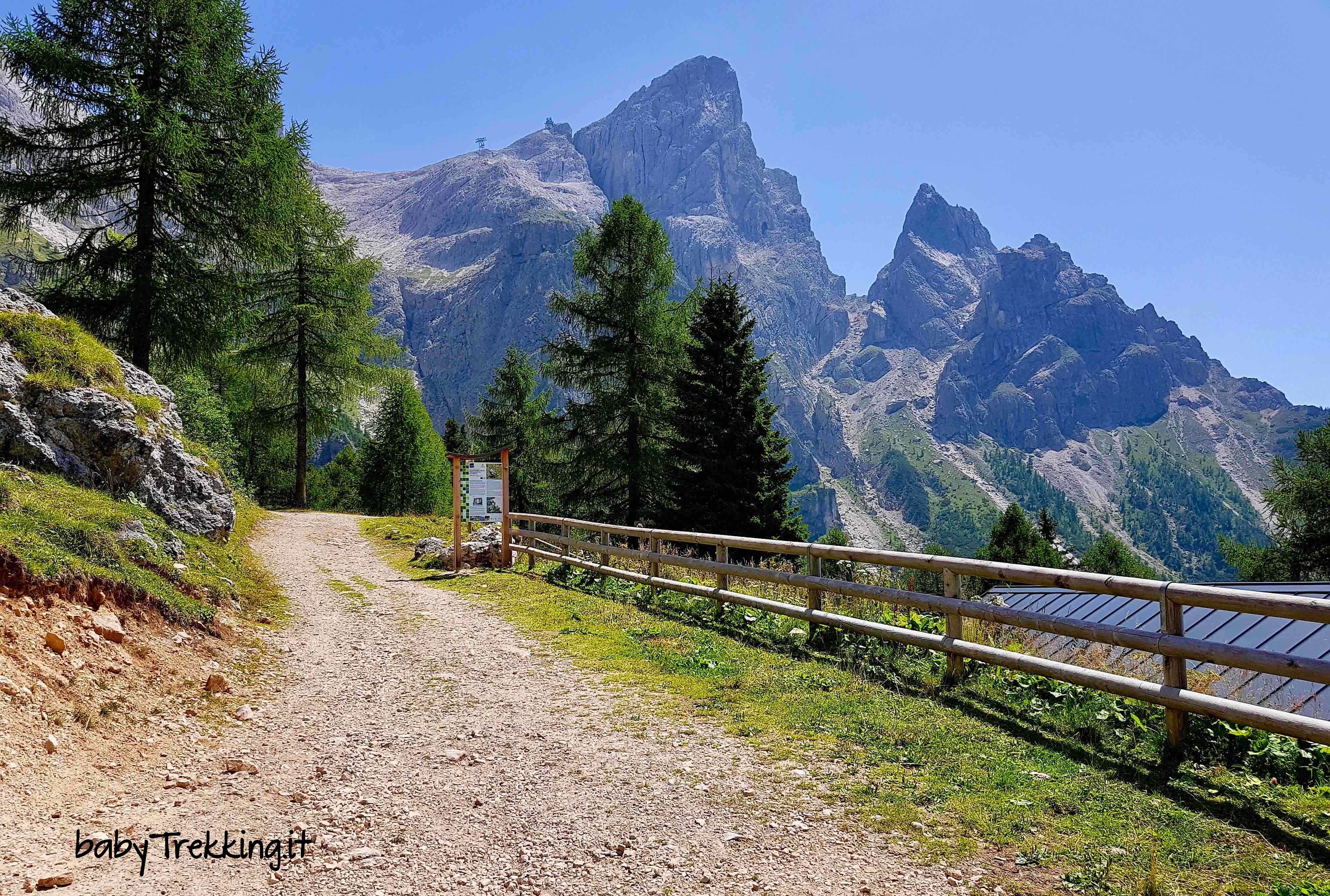 Malga Pala, incanto verde coi bambini sotto le Pale di San Martino