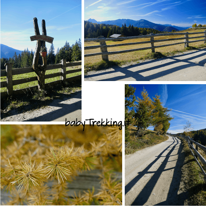 Val Pusteria coi bambini: sull'Alpe di Rodengo col passeggino