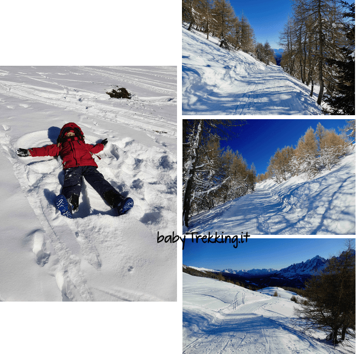 Malga Klammbachalm: con le ciaspole tra le Dolomiti della Val Pusteria