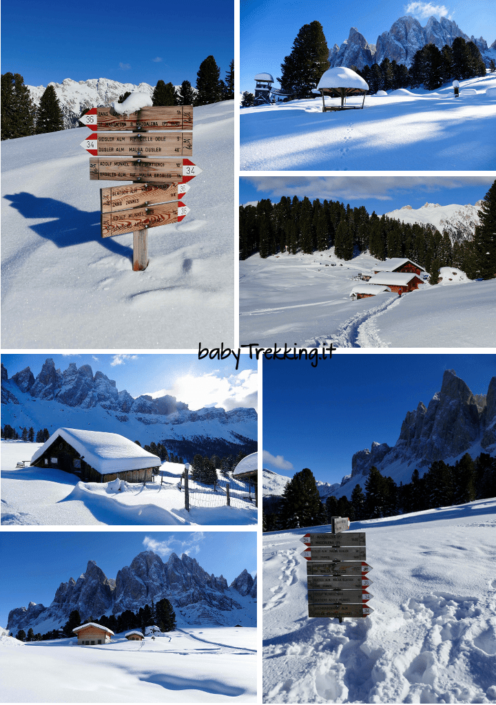 Malga Geisleralm con la neve: in Val di Funes con ciaspole e slittino