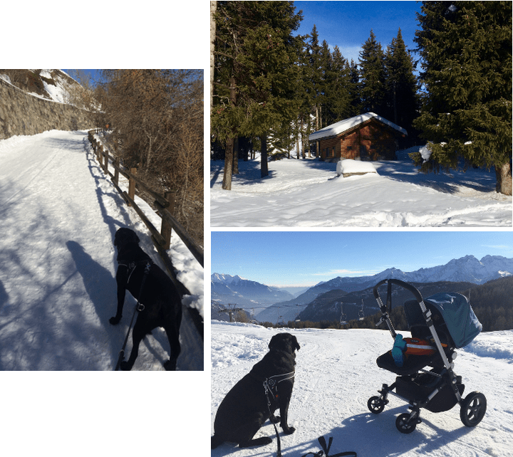 Torgnon: in inverno in Valle d'Aosta con bimbi e cani
