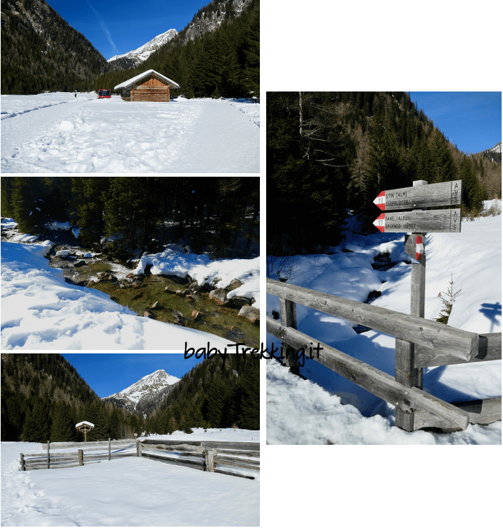 Malga Fane con le ciaspole, bianco incanto in Val Pusteria