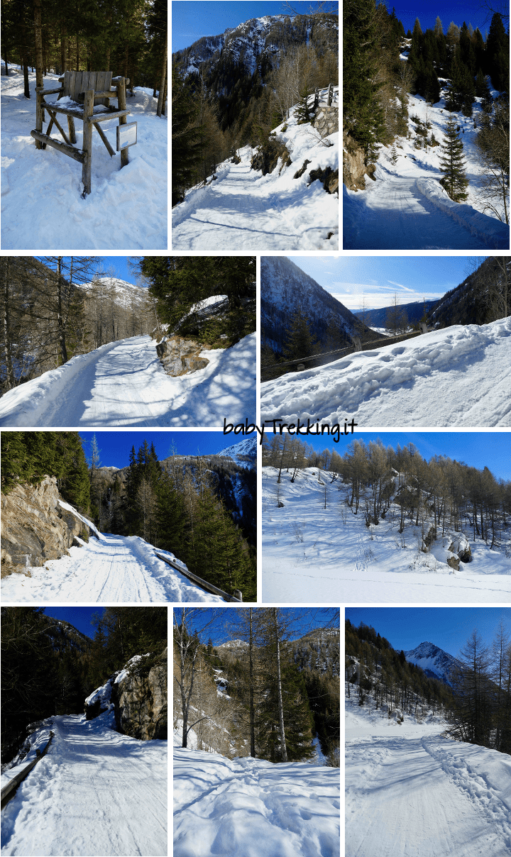 Malga Fane con le ciaspole, bianco incanto in Val Pusteria