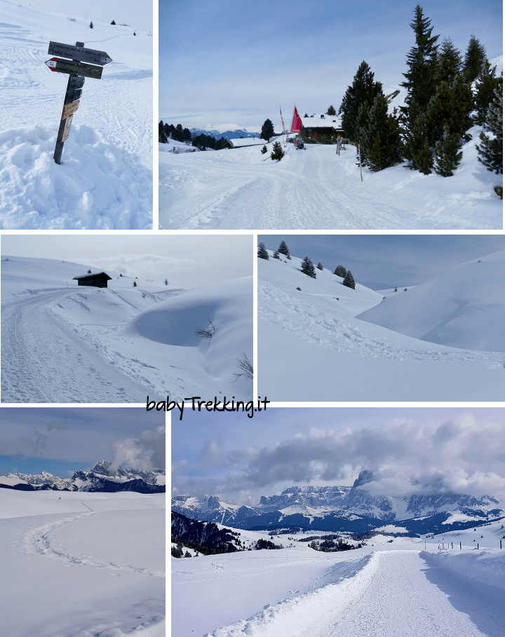 Bullaccia, Rifugio Arnika Hütte e panca delle streghe: Alpe di Siusi in inverno