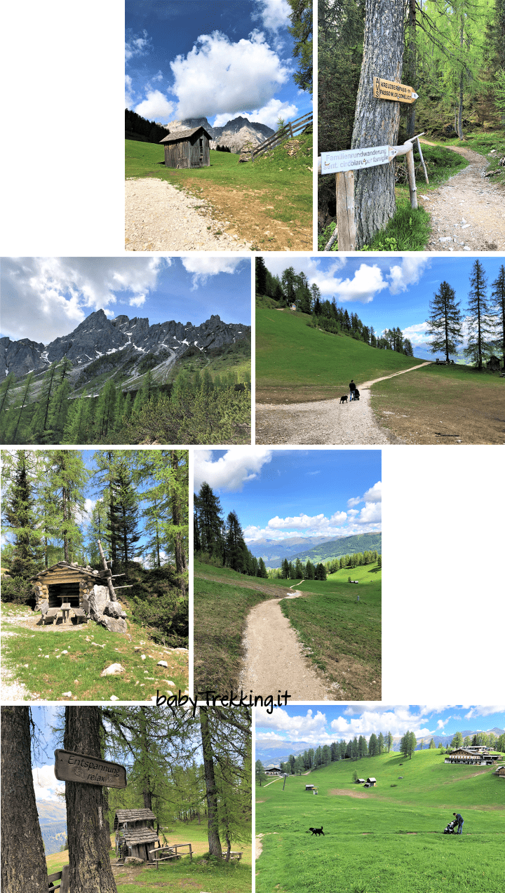 Prati di Croda Rossa: col passeggino ai piedi delle Dolomiti di Sesto
